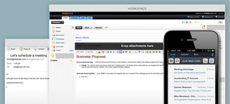 cpanel and parallel plesk web hosting services